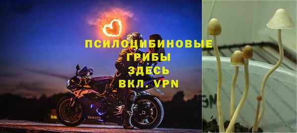 гашишное масло Алексеевка