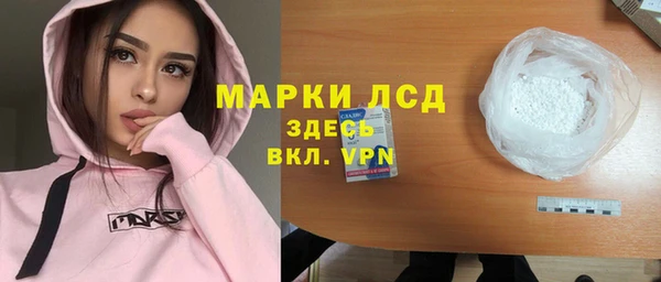 стаф Алексин